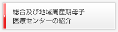 総合及び地域周産期母子医療センターの紹介